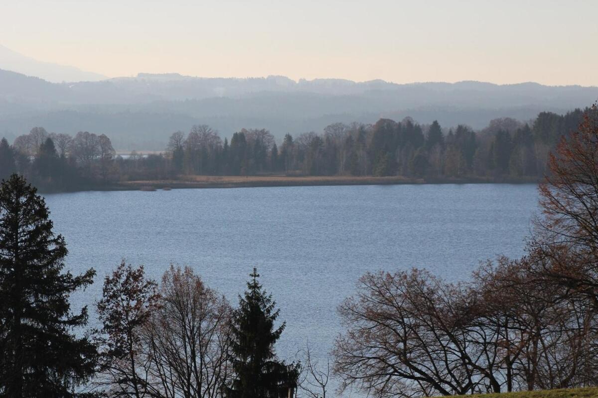 Stadtvilla 施塔费尔湖畔穆尔瑙 外观 照片